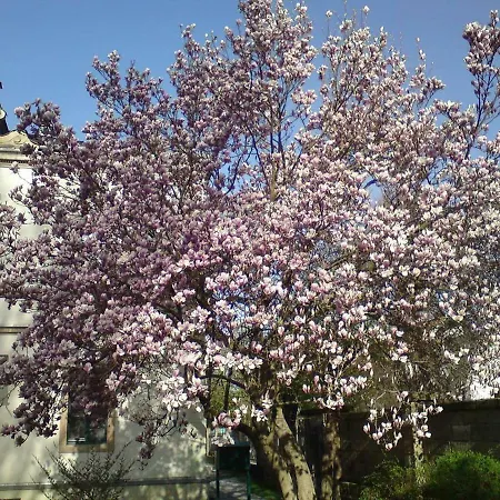 Appartement Pirna-apartment *